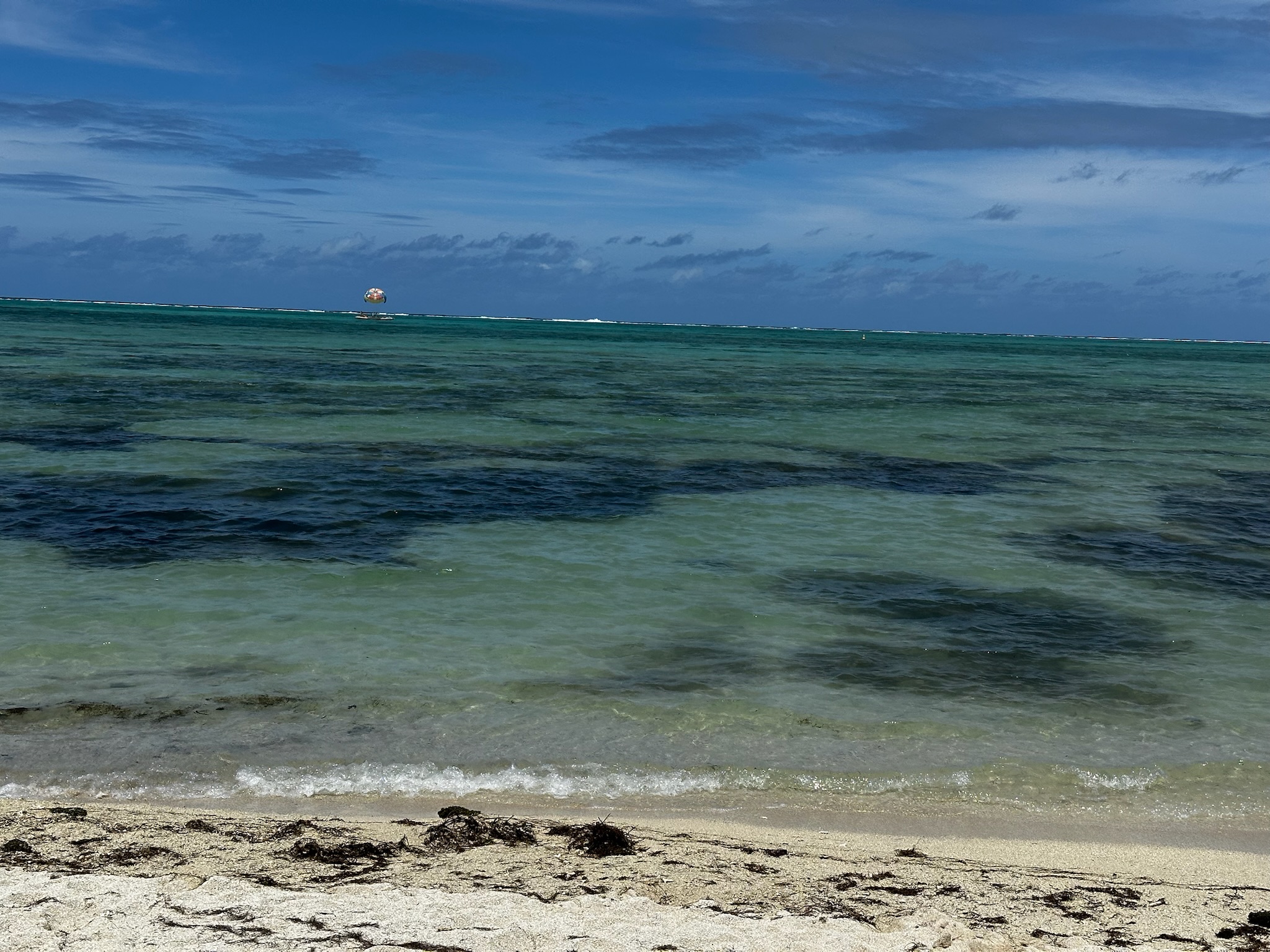 A serene beach scene with clear greenish-blue water and a sandy shore, featuring patches of seaweed and distant clouds in a blue sky.