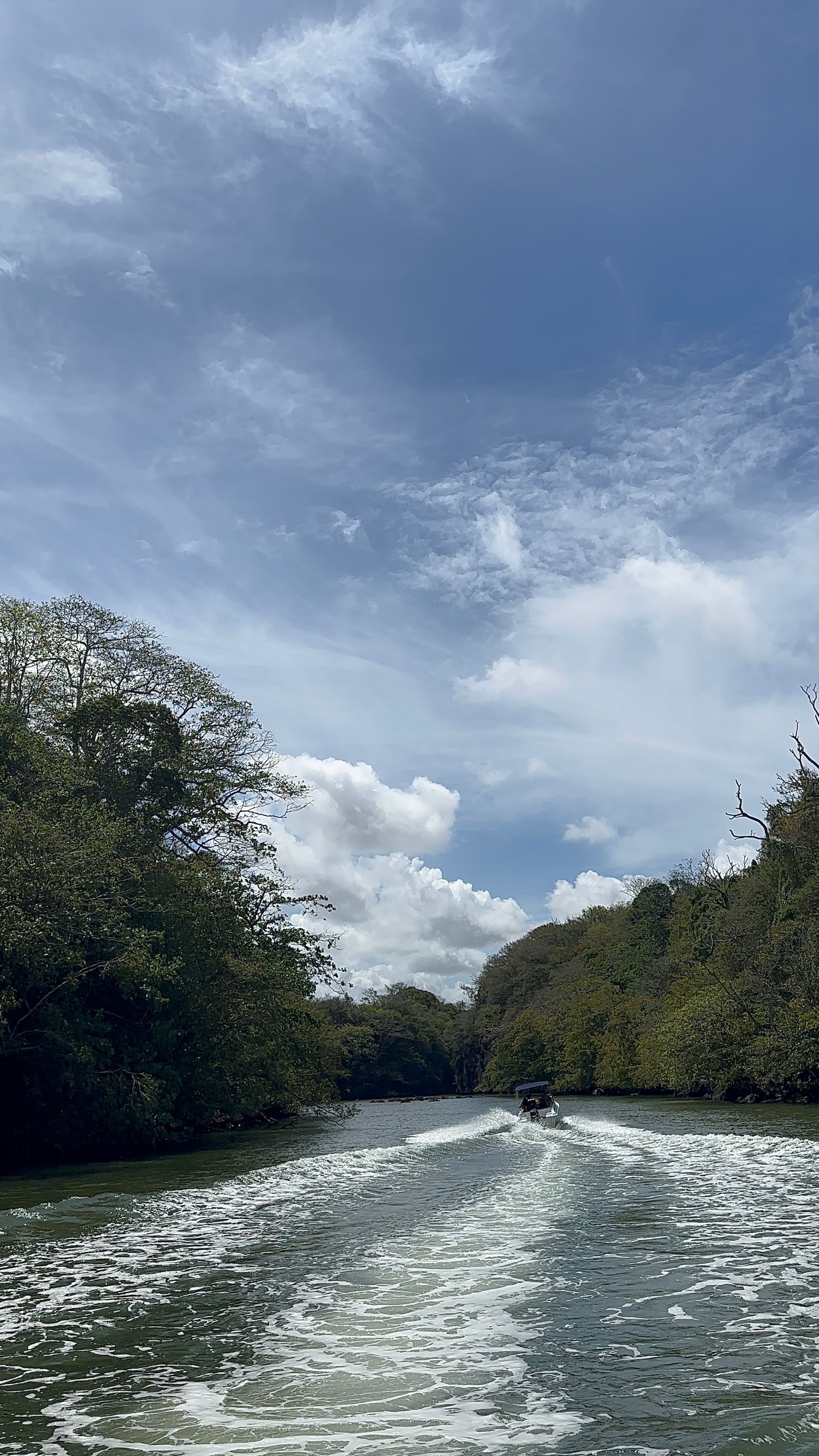 A serene river scene with a speedboat leaving a wake, surrounded by lush green trees and a blue sky with scattered clouds.