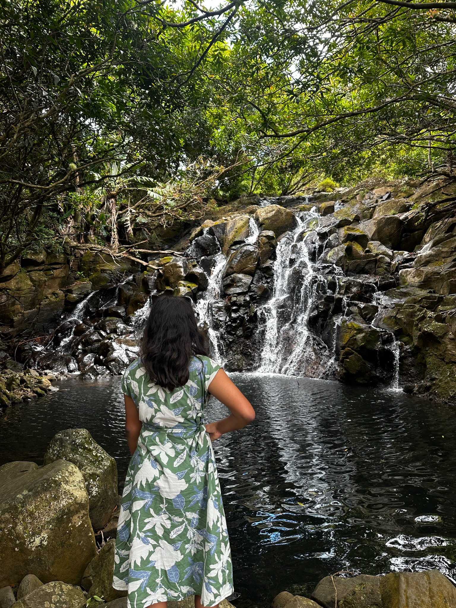 A person standing with their back to the camera, looking at a serene waterfall surrounded by lush greenery and rocks.