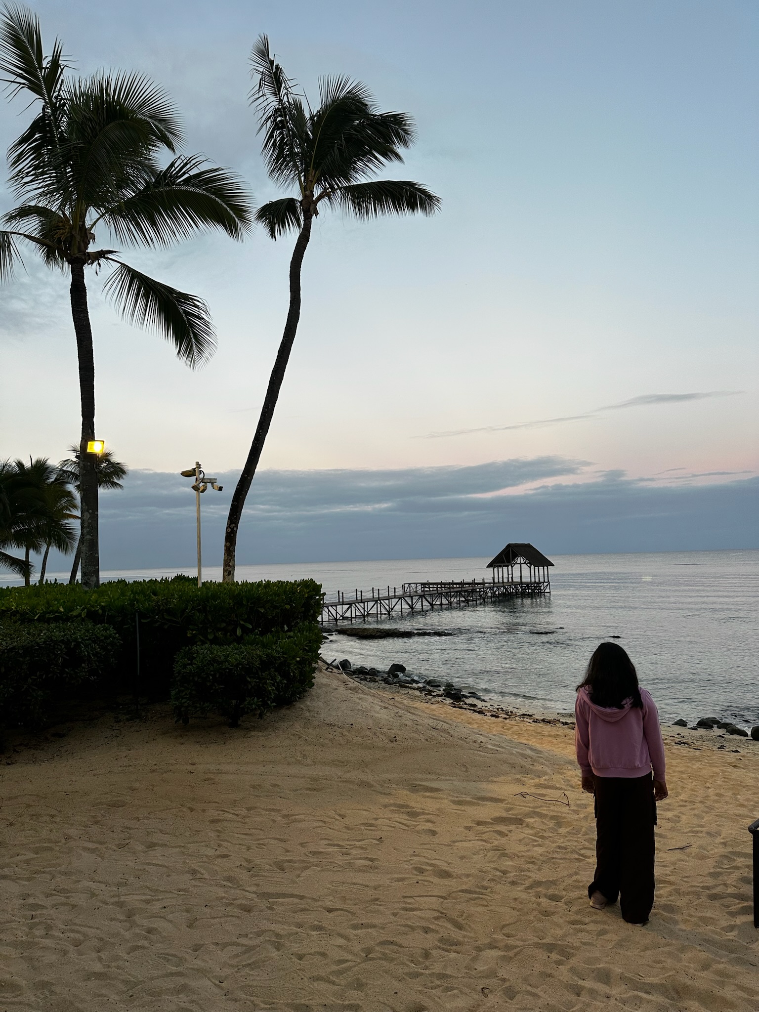 Person standing on the beach at sunset, looking at a wooden pier extending into the ocean, with palm trees in the foreground.