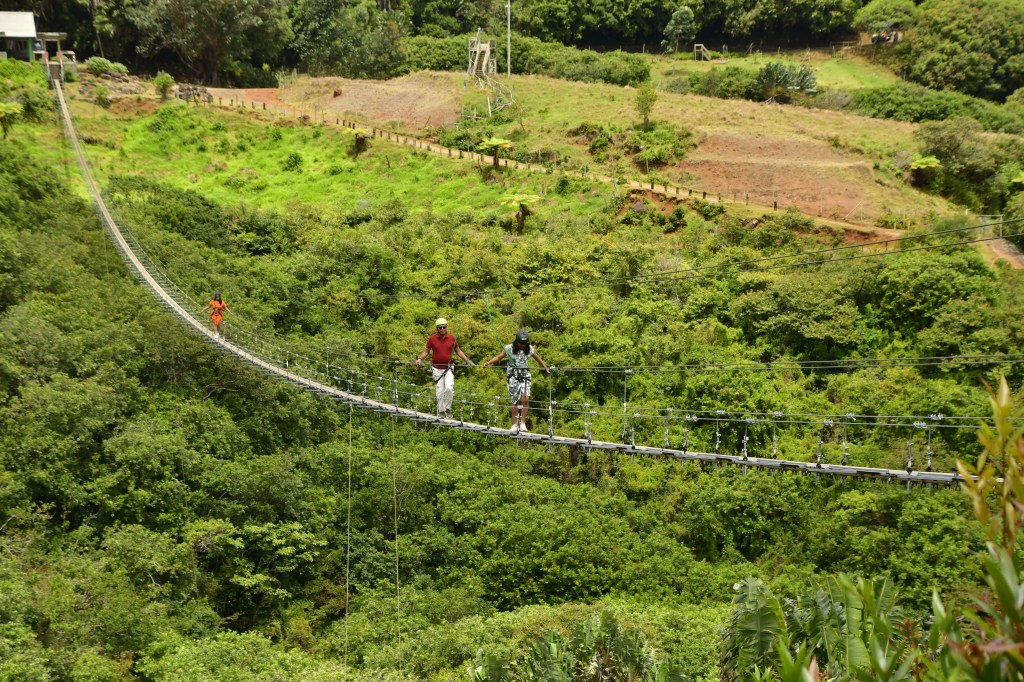 Two people walking across a suspension bridge surrounded by lush green vegetation.
